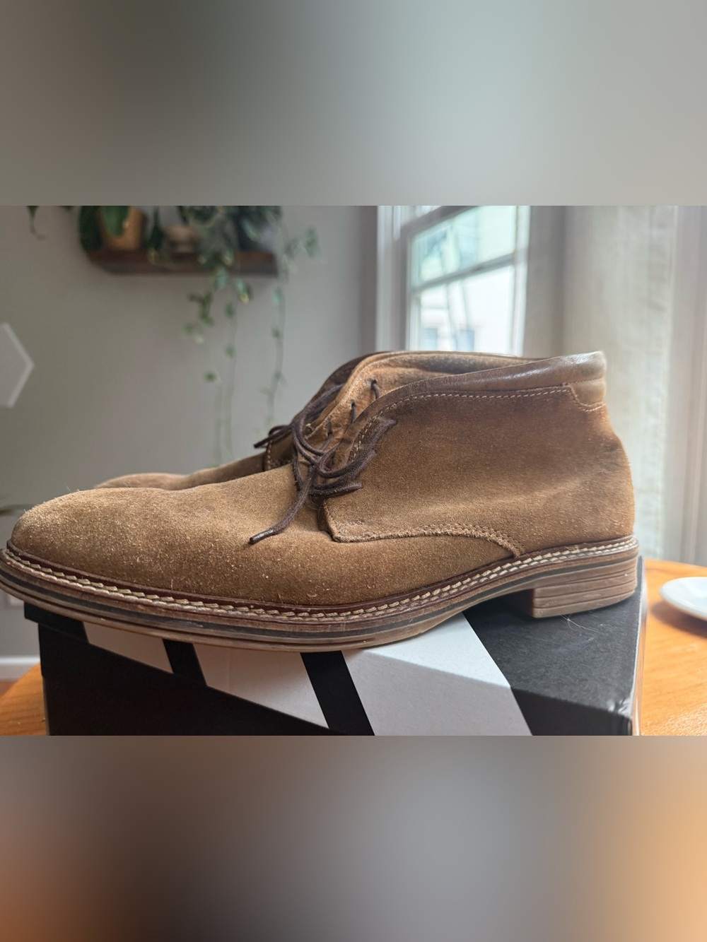 Alfani Men's Tan Suede Chukka Boots - Lace-Up